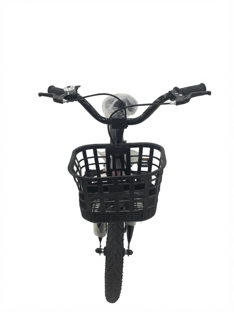 LUTA 4 WHEEL KIDS BICYCLE 12 Inches: Children Bicycle, Kids Bike with Training Wheels, Green Kids Cycle, Toddler Outdoor Bicycle, Boys Girls Training Bike, Kids Bicycle with Basket, Learn to Ride Bike